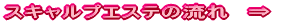 �X�L�����v�G�X�e�̗����