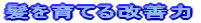 ������Ă���P��
