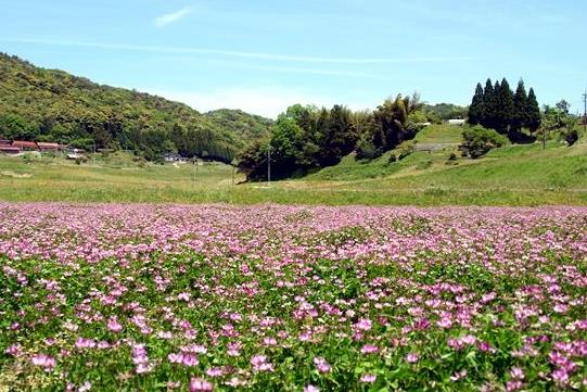 れんげ米の里