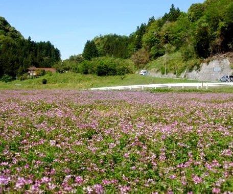 れんげ米の里
