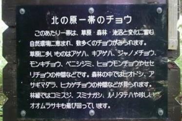名号コース