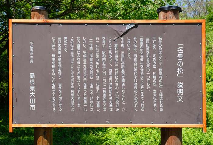 名号の松