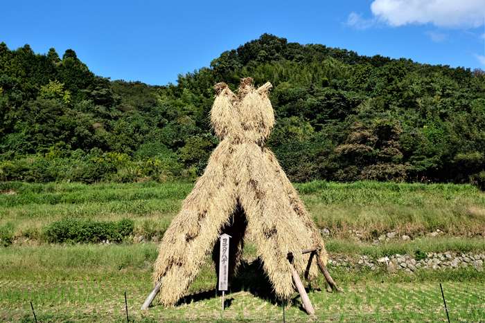西田地区のヨズクハデ