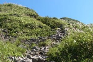 西の原コース登山道