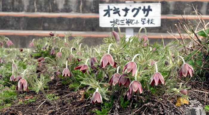 北三瓶小学校・北三瓶中学校