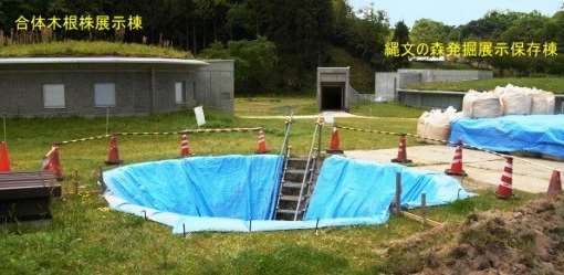 三瓶小豆原埋没林の保存状態確認調査と一般公開