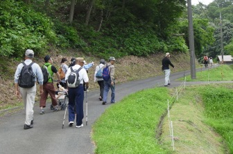 なつかしの道ウオーキング