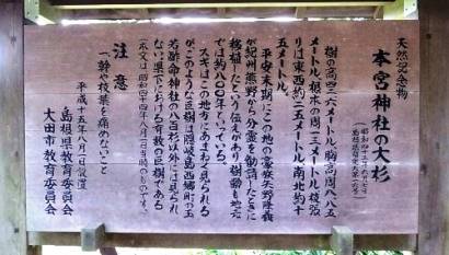 本宮神社の大杉