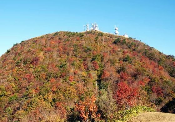 三瓶山紅葉