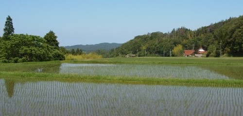 6月3日