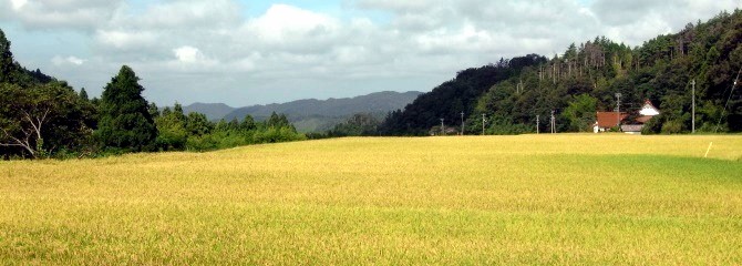 9月6日