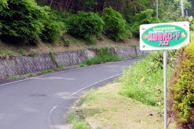 横見埋没林公園