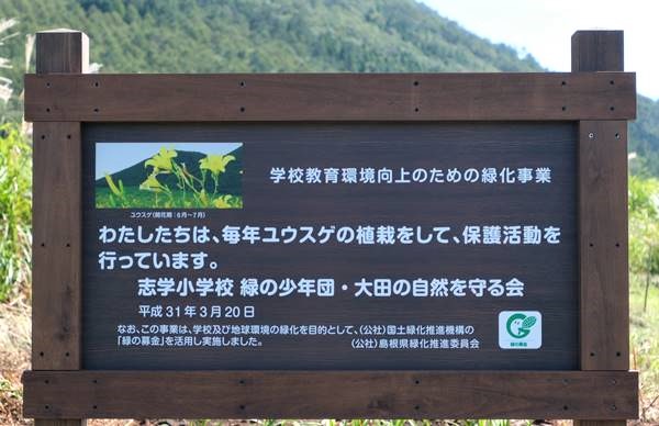 三瓶山ユウスゲ