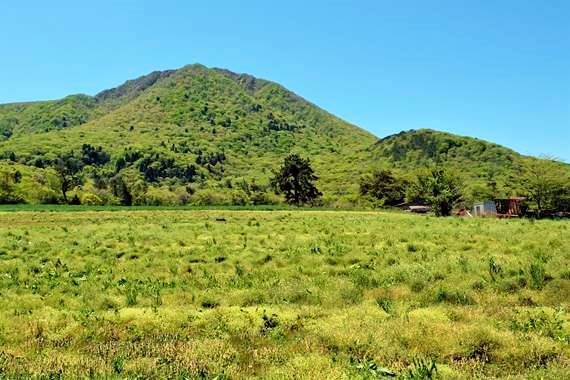 三瓶山天井原 5月