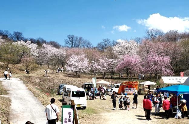 三瓶さくら祭り