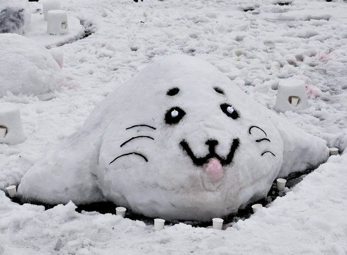 さんべ志学の雪あかり