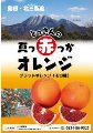 真っ赤っかオレンジ