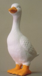アヒル