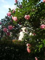 �c���o��