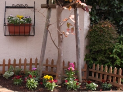 �r�I���Ȃ�