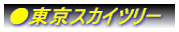 �������X�J�C�c���[