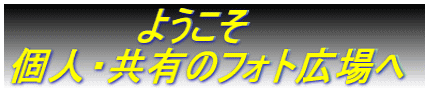 �@�@�@�@�@�悤���� �l�E���L�̃t�H�g�L���