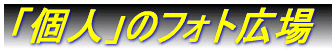 �l�t�H�g�L��