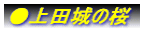 ����c��̍�