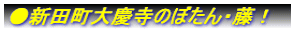 ���V�c����c���̂ڂ���E���I