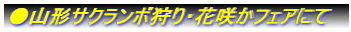 ���R�`�T�N�����{���E�ԍ炩�t�F�A�ɂ�