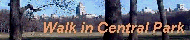 uWalk in Central Parkv