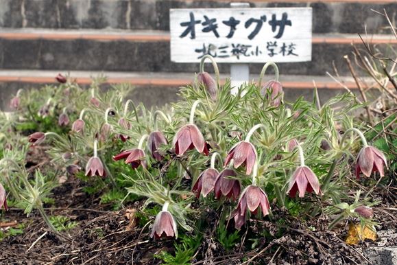 北三瓶小学校・北三瓶中学校