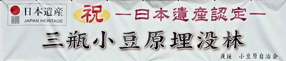 日本遺産認定・三瓶小豆原埋没林