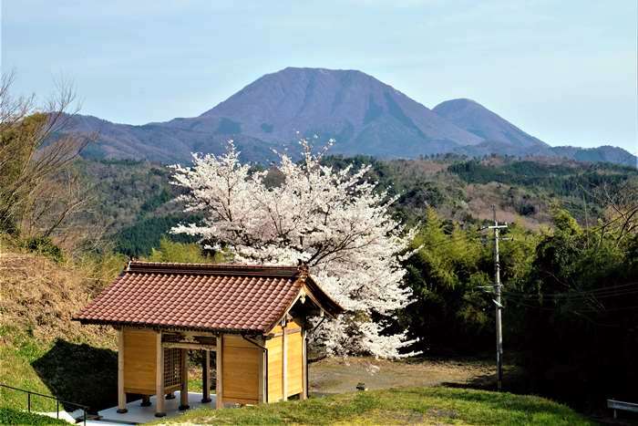 円城寺　山門