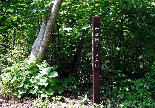 三瓶山北の原 8月
