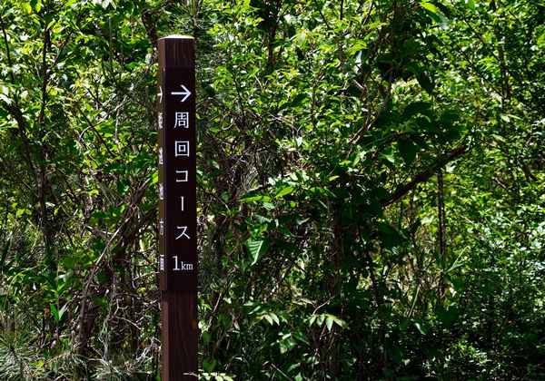 三瓶山北の原 8月
