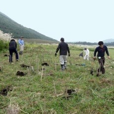 H.28 オキナグサを守ろう大作戦