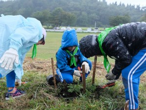 北三瓶小学校・オキナグサ