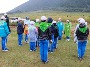 北三瓶小学校・オキナグサ