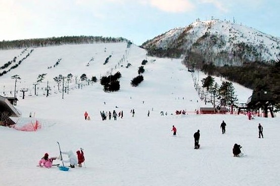 東の原雪原