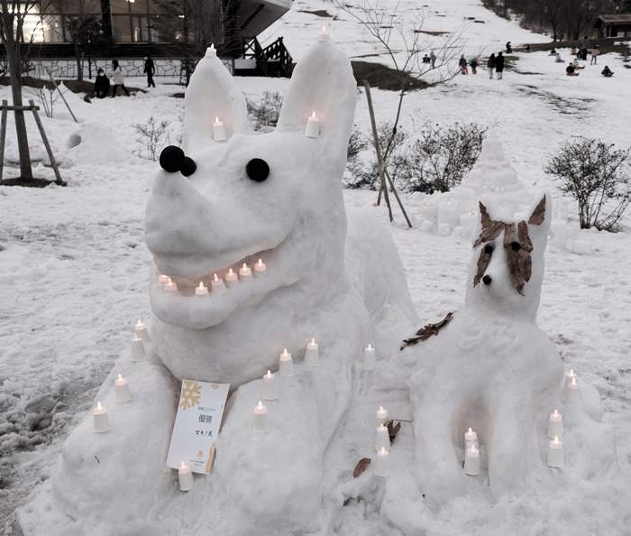 さんべ志学の雪あかり