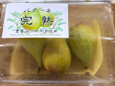 バナーネパック