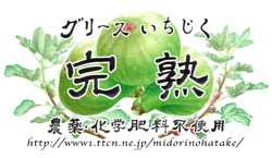 ラベル