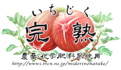 いちじくラベル