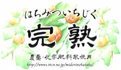 はちみついちじくラベル