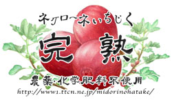 ラベル