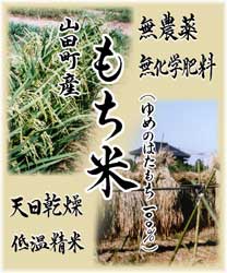 もち米ラベル