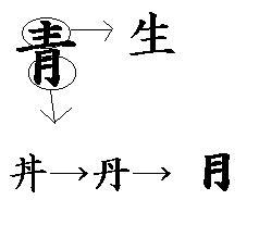 漢字文化の授業 生 と 青 の成り立ち