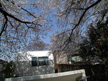 STUDIO MATSUI