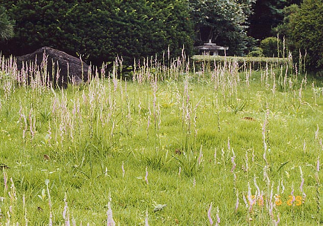 �����i��������j